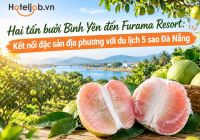 Hai tấn bưởi Bình Yên đến Furama Resort: Kết nối đặc sản địa phương với du lịch 5 sao Đà Nẵng