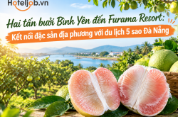 Hai tấn bưởi Bình Yên đến Furama Resort: Kết nối đặc sản địa phương với du lịch 5 sao Đà Nẵng