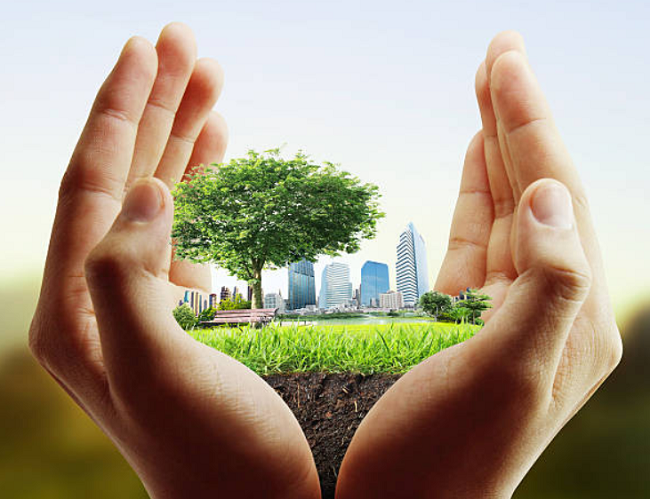 Alt value for image 86